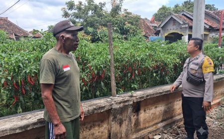 Cabai Mulai Memerah, Bhabinkamtibmas Desa Gemarang Pantau Kesiapan Panen Warga