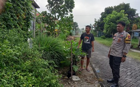 Demi Terwujudnya Program Ketahanan Pangan Pemerintah, Bhabinkamtibmas Desa Ngepeh Cek Perkarangan Warga
