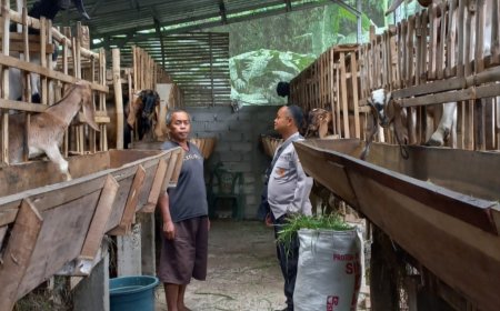 Bhabinkamtibmas Rutin Sambangi Peternak Kambing Di Desa Binaan