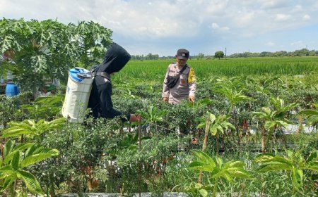 Bhabinkamtibmas Sambangi Petani Cabe di Desa Binaan