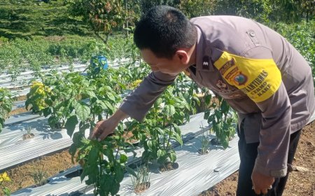 Ketahanan Pangan Menjadi Salah Satu Andalan Masyarakat Desa Cermo Kec Kare