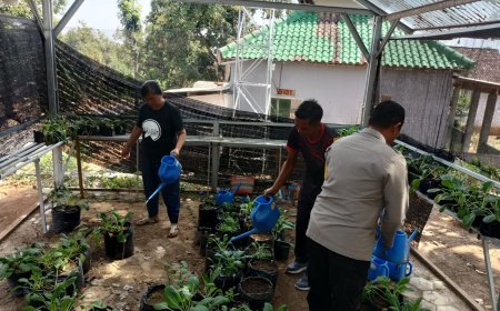 Rumah Bibit Jadi Awal Panen Berkualitas, Bhabinkamtibmas Desa Winong Semangati Warga Rawat Tanaman