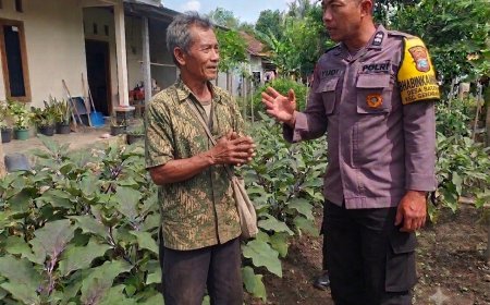 Obrolan Hangat di Kebun Terong, Bhabinkamtibmas Desa Batok Ajak Warga Terus Kembangkan Pekarangan Bergizi