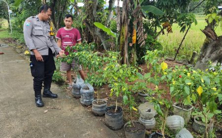 Bhabinkamtibmas Polsek Wungu Dorong Pemanfaatan Pekarangan Bergizi untuk Dukung Ketahanan Pangan