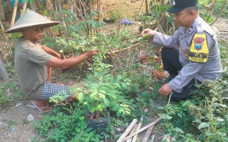 Polsek Mejayan Dukung Ketahanan Pangan Nasional Melalui Kunjungan Bhabinkamtibmas ke Warga Pemanfaat Pekarangan Produktif