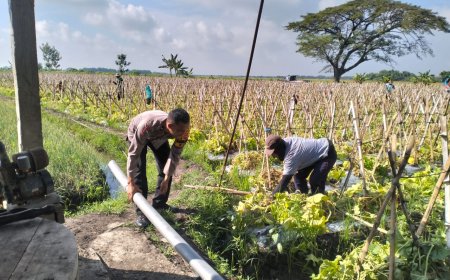 Bhabinkamtibmas Kunjungan Lahan Melon Petani Untuk Dukung Ketahanan Pangan
