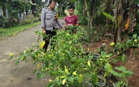 Dukung Ketahanan Pangan, Bhabinkamtibmas Desa Nglanduk Sambangi Pekarangan Pangan Bergizi Milik Warga