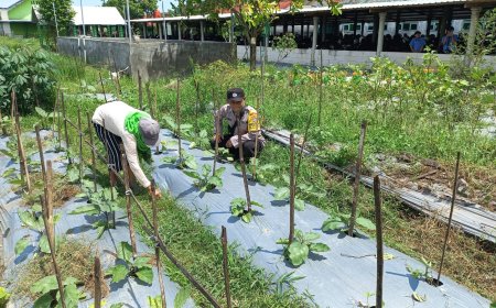 Rutinitas Pak Bhabin Irawan Cek Perkembangan Pemanfaatan Pekarangan Warga