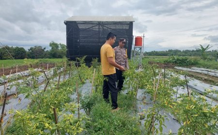 Pekarangan Produktif Jadi Andalan, Pak Bhabin Desa Mruwak Berikan Motivasi kepada Warga