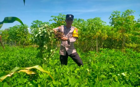 Dukung Ketahanan Pangan, Bhabinkamtibmas Desa Mojopurno Sambangi Budidaya Kacang Tanah Warga