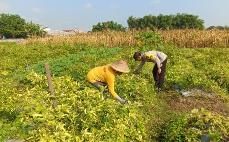 Bhabinkamtibmas Polsek Kebonsari Motivasi Warga Manfaatkan Lahan Produktif untuk Dukung Ketahanan Pangan Nasional