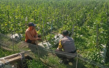 Bhabinkamtibmas Cek Lahan Buah Petani Untuk Dukung Ketahanan Pangan