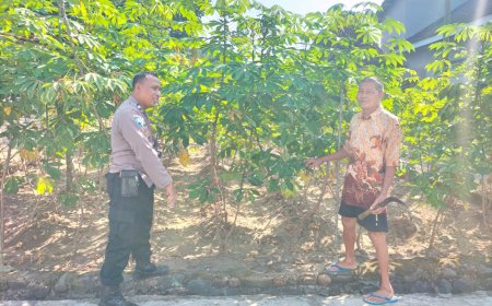 Dukung Ketahanan Pangan, Aiptu Hariono Sambangi Petani Singkong