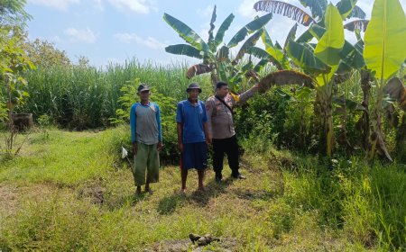 Dukung Ketahanan Pangan, Bhabinkamtibmas Polsek Balerejo Sambangi Warga Desa Jerukgulung