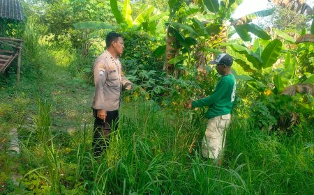 Dukung Ketahanan Pangan, Bhabinkamtibmas Desa Brumbun Monitoring Pekarangan Produktif Warga