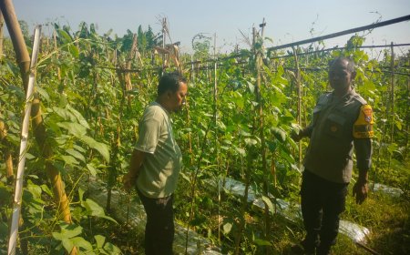 Pemanfaatan Pekarangan Produktif Jadi Perhatian Bhabinkamtibmas Blabakan