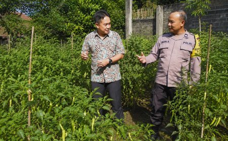 Kebun Cabai Produktif Jadi Inspirasi Ketahanan Pangan, Bhabinkamtibmas Desa Durenan Beri Motivasi Warga