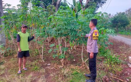 Singkong Tumbuh Subur di Pekarangan, Bhabinkamtibmas Desa Batok Dorong Warga Perkuat Ketahanan Pangan