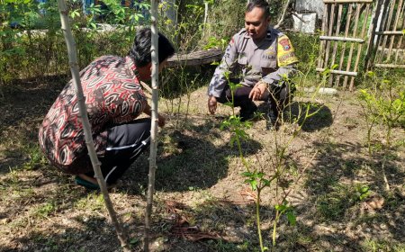 Dukung Ketahanan Pangan, Bhabinkamtibmas Desa Bantengan Sambangi Kebun Pekarangan Warga