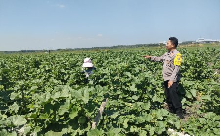 Bhabinkamtibmas Desa Pacinan Ajak Warga Manfaatkan Pekarangan untuk Mendukung Ketahanan Pangan Nasional