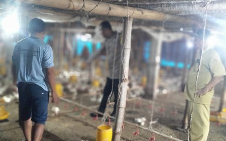 Bhabinkamtibmas Desa Sambirejo Dorong Pemanfaatan Pekarangan untuk Peternakan Ayam Petelur