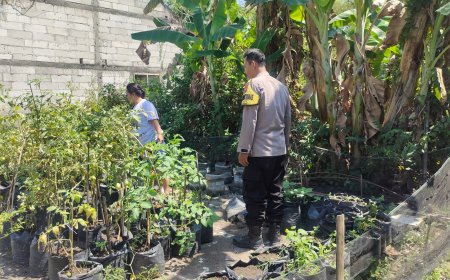 Bhabinkamtibmas Desa Glonggong Tinjau Budidaya Tanaman Pangan untuk Dukung Ketahanan Pangan Nasional