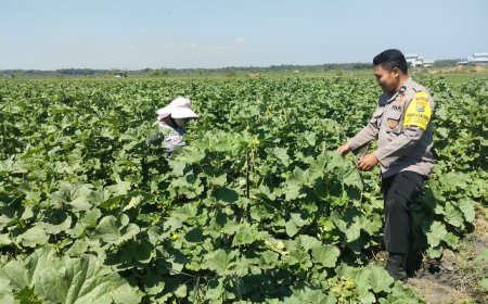 Dukung Ketahanan Pangan Nasional, Bhabinkamtibmas Pacinan Ajak Warga Manfaatkan Lahan Pekarangan