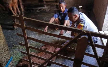 Dukung Ketahanan Pangan, Bhabinkamtibmas Desa Tapelan Sambangi Warga Peternak Sapi