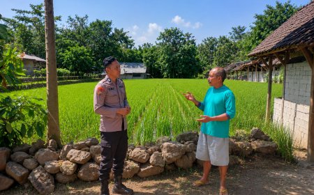 Hamparan Padi Hijau Jadi Optimisme Petani, Bhabinkamtibmas Desa Batok Perkuat Komunikasi di Tengah Musim Tanam