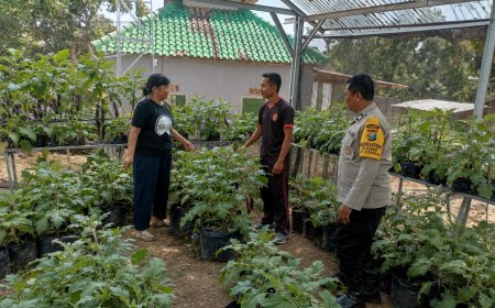 Terong dalam Greenhouse Tumbuh Subur, Bhabinkamtibmas Desa Winong Dukung Pekarangan Pangan Bergizi