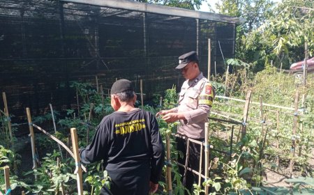 Dukung Ketahanan Pangan, Bhabinkamtibmas Balerejo Ajak Warga Sulap Pekarangan Jadi Lahan Produktif bernilai Ekonomis