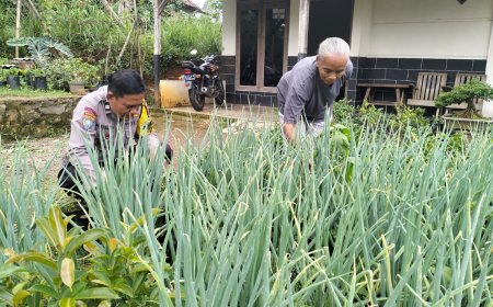 Bhabinkamtibmas Desa Kare Dorong Pemanfaatan Lahan Pekarangan untuk Dukung Ketahanan Pangan Nasional