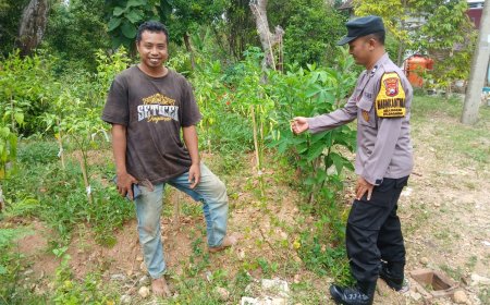 Aiptu Dariyono Sambangi Pekarangan Warga, Dukung Ketahanan Pangan Lokal