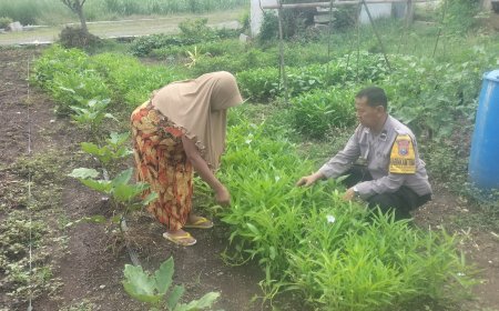 Dukung Ketahanan Pangan, Bhabinkamtibmas Pilangrejo Sambangi Warga Manfaatkan Pekarangan Rumah