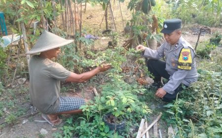 Bhabinkamtibmas Hadir Menguatkan Gerakan Pekarangan Produktif di Bangunsari