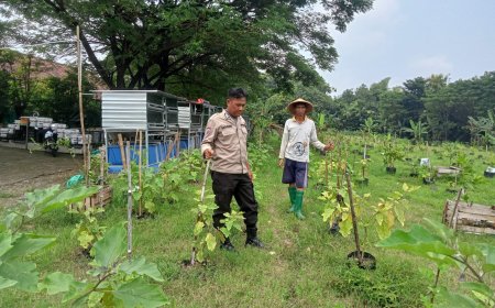 Bhabinkamtibmas Polsek Saradan Dukung Swasembada Pangan Dengan Kunjungi Warga Yang Tanam Terong