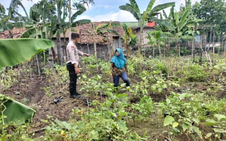 Bhabinkamtibmas Desa Klumutan Kunjungi Warga Yang Optimalkan Perkarangan Untuk Tanaman Terong