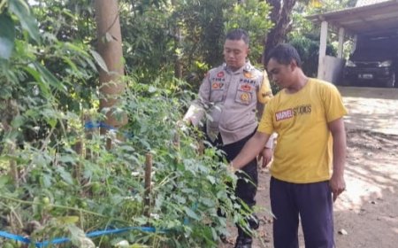 Petani Cabai di Desa Bodag Kecamatan Kare Dukung Asta Cita
