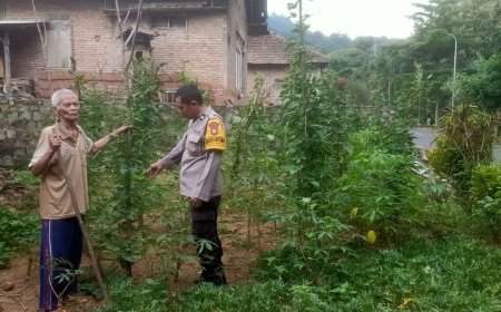 Bhabinkamtibmas Polsek Saradan Apresiasi Warga Yang Manfaatkan Untuk Kacang Panjang