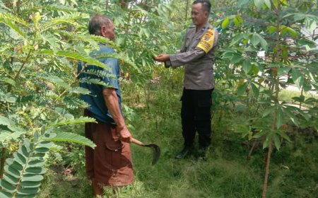 Sambangi Petani Singkong, Bhabinkamtibmas Polsek Saradan Dukung Ketahanan Pangan
