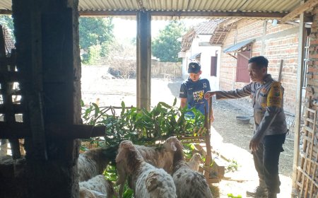 Dukung Ketahanan Pangan, Bhabinkamtibmas Kedungjati Tinjau Peternakan Kambing Warga