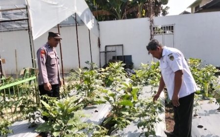 Dukung Ketahanan Pangan, Bhabinkamtibmas Desa Sidorejo Ajak Warga Maksimalkan Pemanfaatan Pekarangan