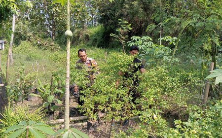 Dampingi Warga Berkebun, Bhabinkamtibmas Perkuat Ketahanan Pangan Lokal
