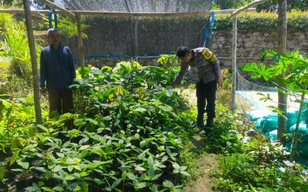 Persemaian Bibit Tumbuh Subur, Warga Batok Siapkan Tanaman Berkualitas Sejak Awal