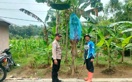 Bhabinkamtibmas Desa Jetis Aiptu Hariono Sambangi Pekarangan Pisang Warga Dukung Ketahanan Pangan