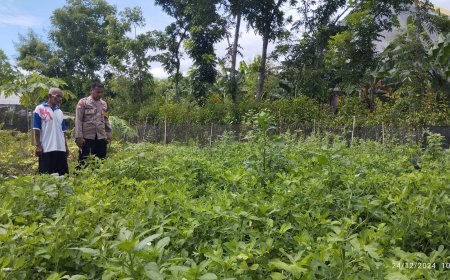 Wujudkan Program Pemerintah Ketahanan Pangan, Bhabin Aktif Kunjungi Petani