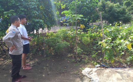 Pekarangan Kecil Terus Berbuah, Warga Sebayi Rawat Kebun Sayur sebagai Sumber Pangan Keluarga