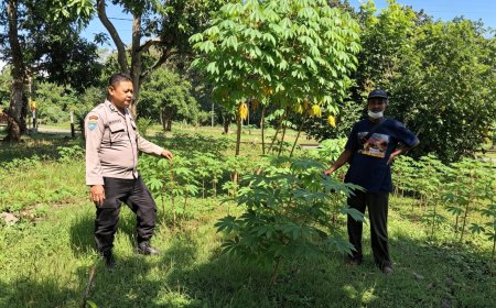 Bhabinkamtibmas Desa Gemarang Dorong Warga Manfaatkan Pekarangan untuk Mendukung Ketahanan Pangan