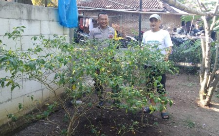 Demi Terwujudnya Ketahanan Pangan, Aipda Ribut Wraga Yang Manfaatkan Perkarangan Rumah