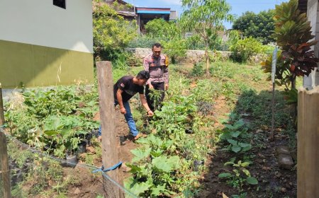 Kebun Pekarangan Mulai Berbuah Hasil, Bhabinkamtibmas Desa Nampu Ajak Warga Rawat Tanaman Secara Berkelanjutan